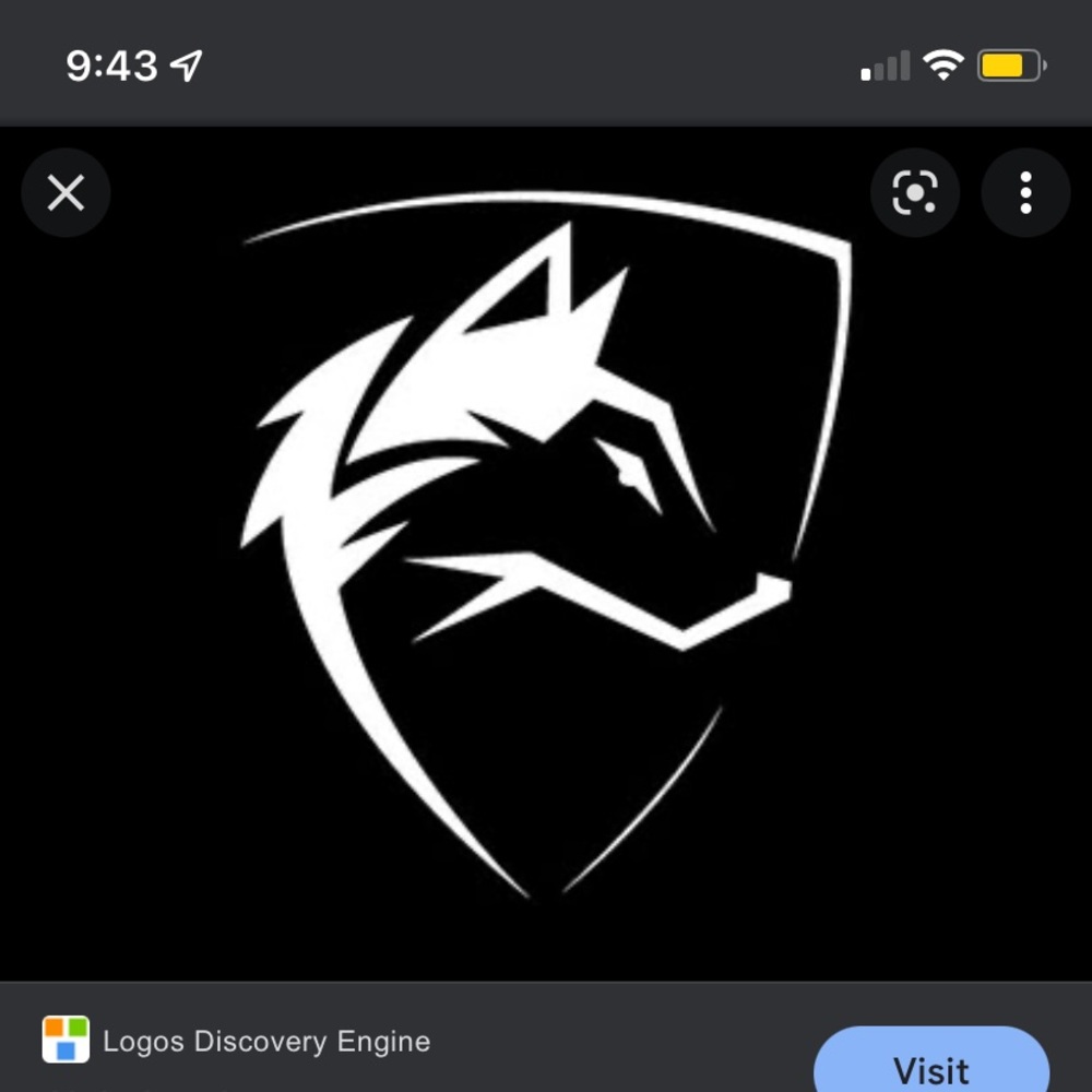 ISO anything alphalete with this logo